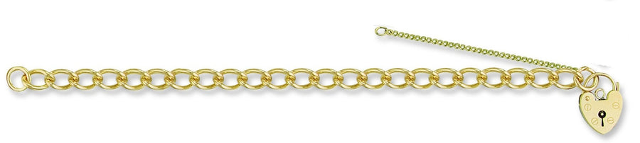 9ct Yellow Gold Charm Bracelet 15.0g - My Jewel World